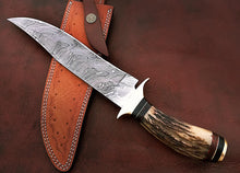 Load image into Gallery viewer, Custom Handmade Damascus Steel Beautiful Hunting Knife with Amazing Stag Horn Handle