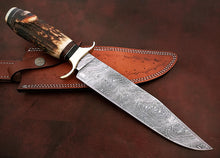 Load image into Gallery viewer, Custom Handmade Damascus Steel Beautiful Hunting Knife with Stunning Stag Horn Handle