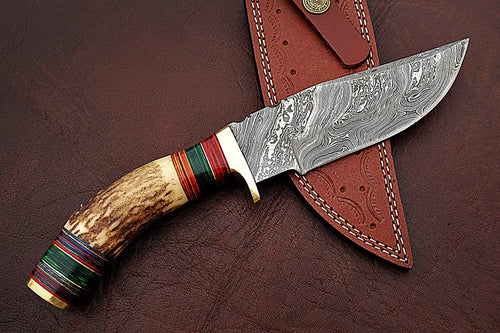 Custom Handmade Damascus Steel Stunning Bowie Knife with Beautiful Stag Horn and Colored Wood Handle