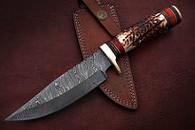 Load image into Gallery viewer, Custom Handmade Damascus Steel Bowie Knife with Stag Horn Handle