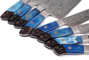 Set of 8 Custom Made Damascus Steel Chef Knifes Set with Colored Bone & Bull Horn Handle