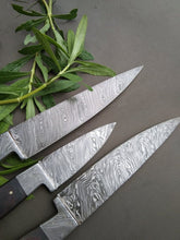 Load image into Gallery viewer, Set of 3 Custom Handmade Damascus Steel Kitchen Knifes with Micarta Handle