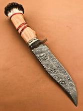 Load image into Gallery viewer, Custom Made Damascus Steel Hunting Bowie Knife with Crown Stag Handle