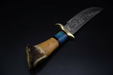 Load image into Gallery viewer, Custom Hand Made Damascus Steel Splendid Bowie Knife with Crown Stag, Olive Wood &amp; Colored Bone